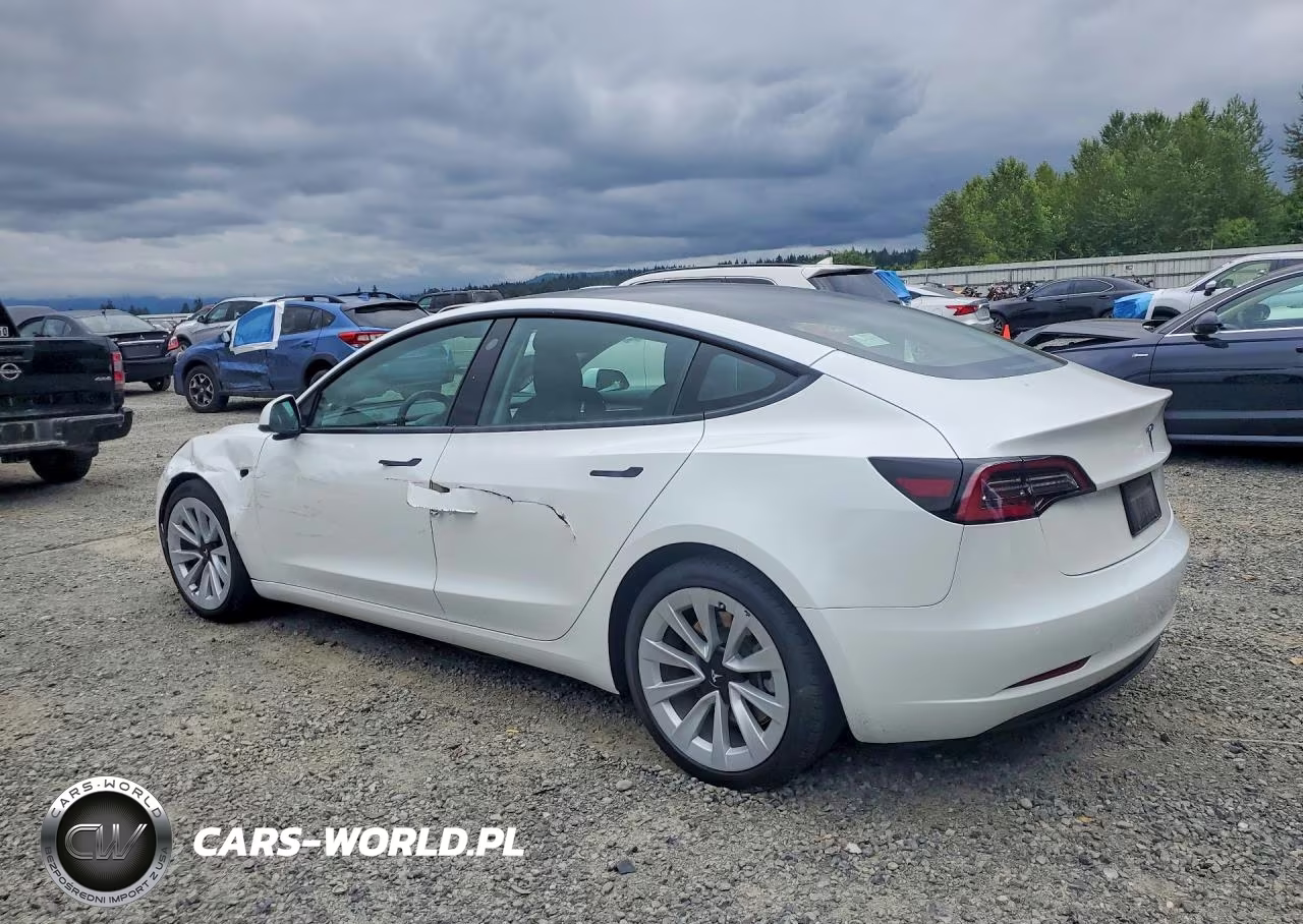 2021 Tesla Model 3 VIN:5YJ3E1EA7MF070320 - 2