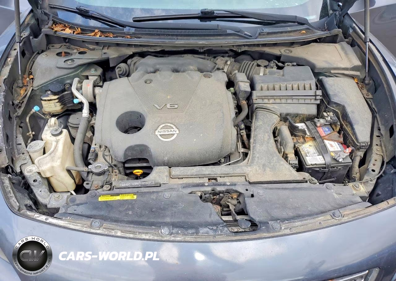 2009 Nissan Maxima 3.5 S VIN:1N4AA51E49C838820 - 11