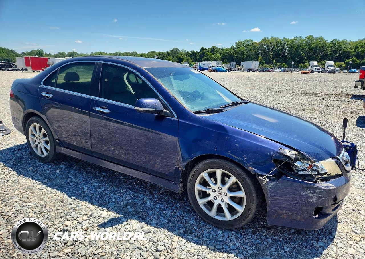 2006 Acura Tsx VIN:JH4CL96866C002234 - 4