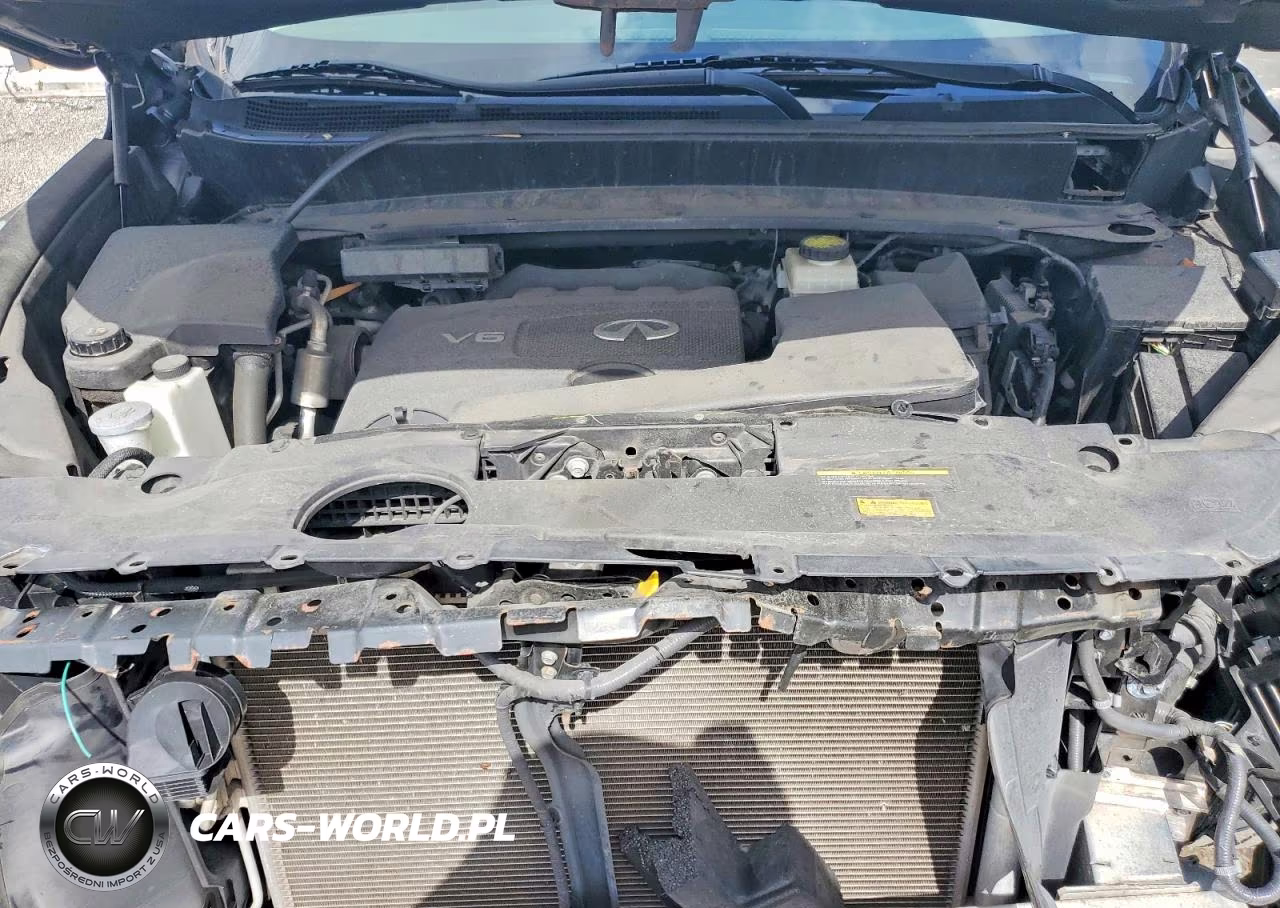 2019 Infiniti Qx60 Pure VIN:5N1DL0MM1KC534112 - 11