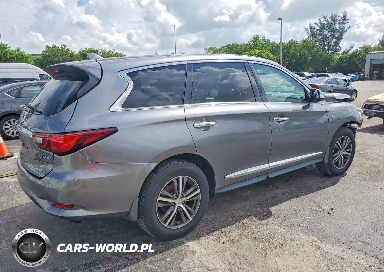 2019 Infiniti Qx60 Pure VIN:5N1DL0MM1KC534112 - 3