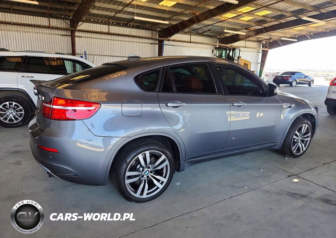 2014 BMW X6 M VIN:5YMGZ0C51E0C40462 - 3