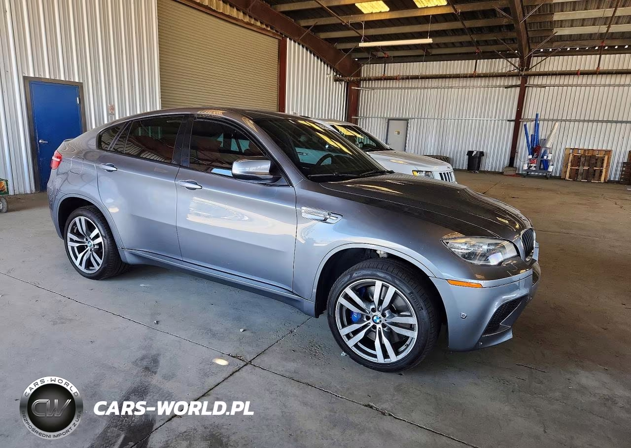2014 BMW X6 M VIN:5YMGZ0C51E0C40462 - 4