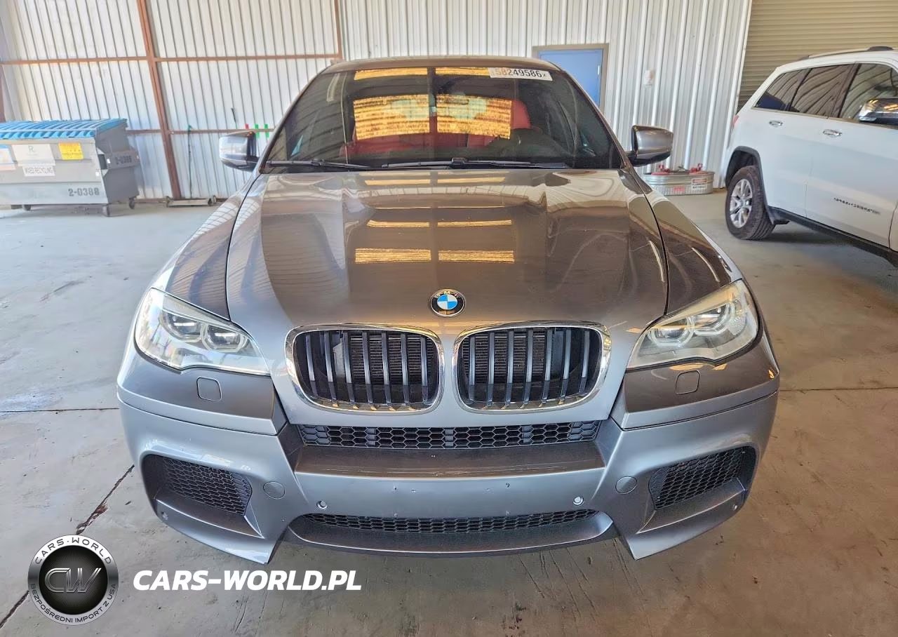 2014 BMW X6 M VIN:5YMGZ0C51E0C40462 - 5