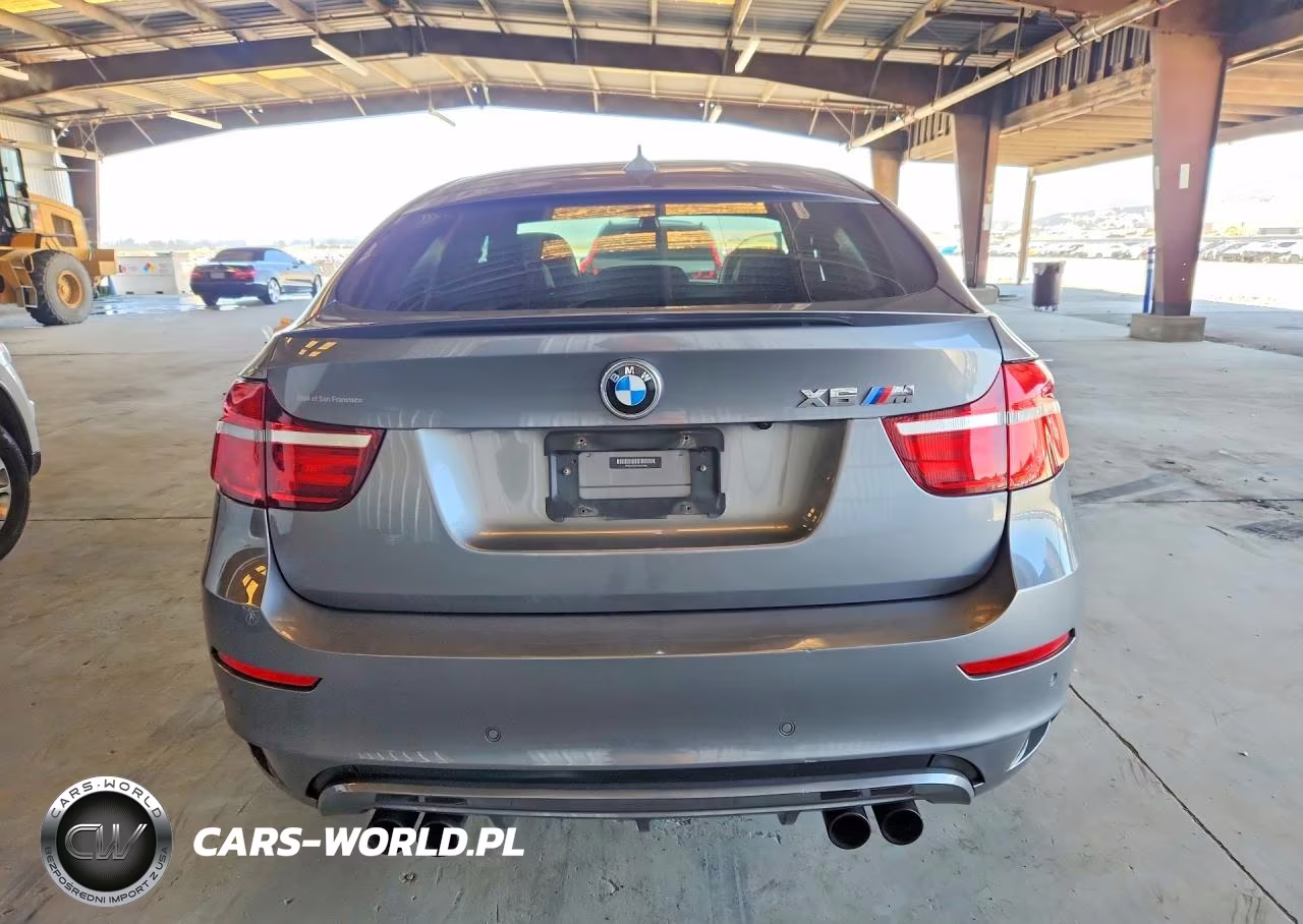 2014 BMW X6 M VIN:5YMGZ0C51E0C40462 - 6
