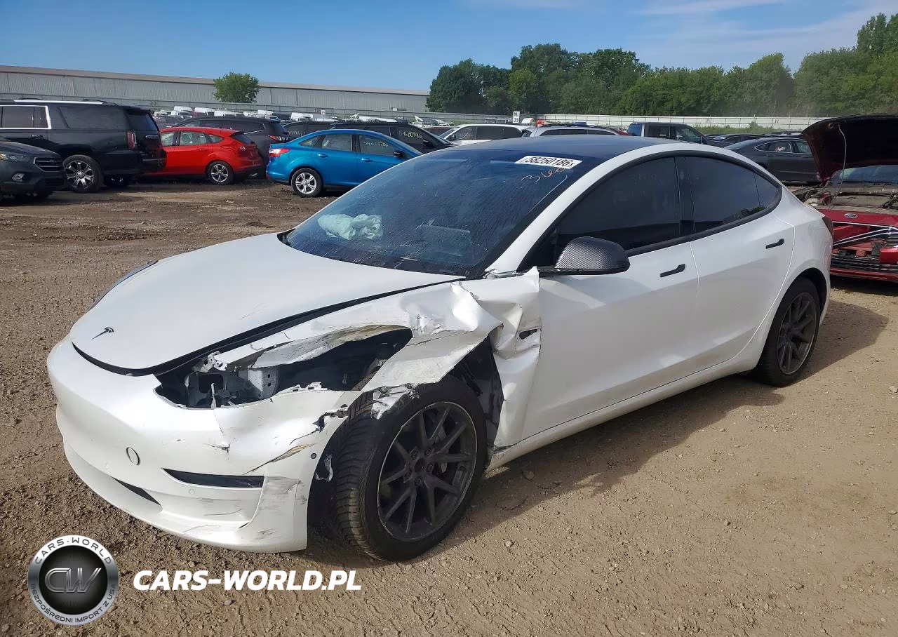 2020 Tesla Model 3