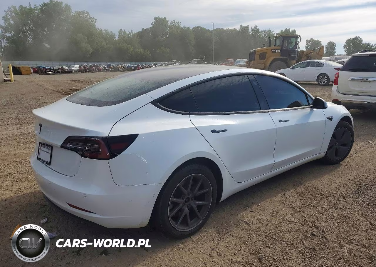 2020 Tesla Model 3 VIN:5YJ3E1EA0LF797037 - 3