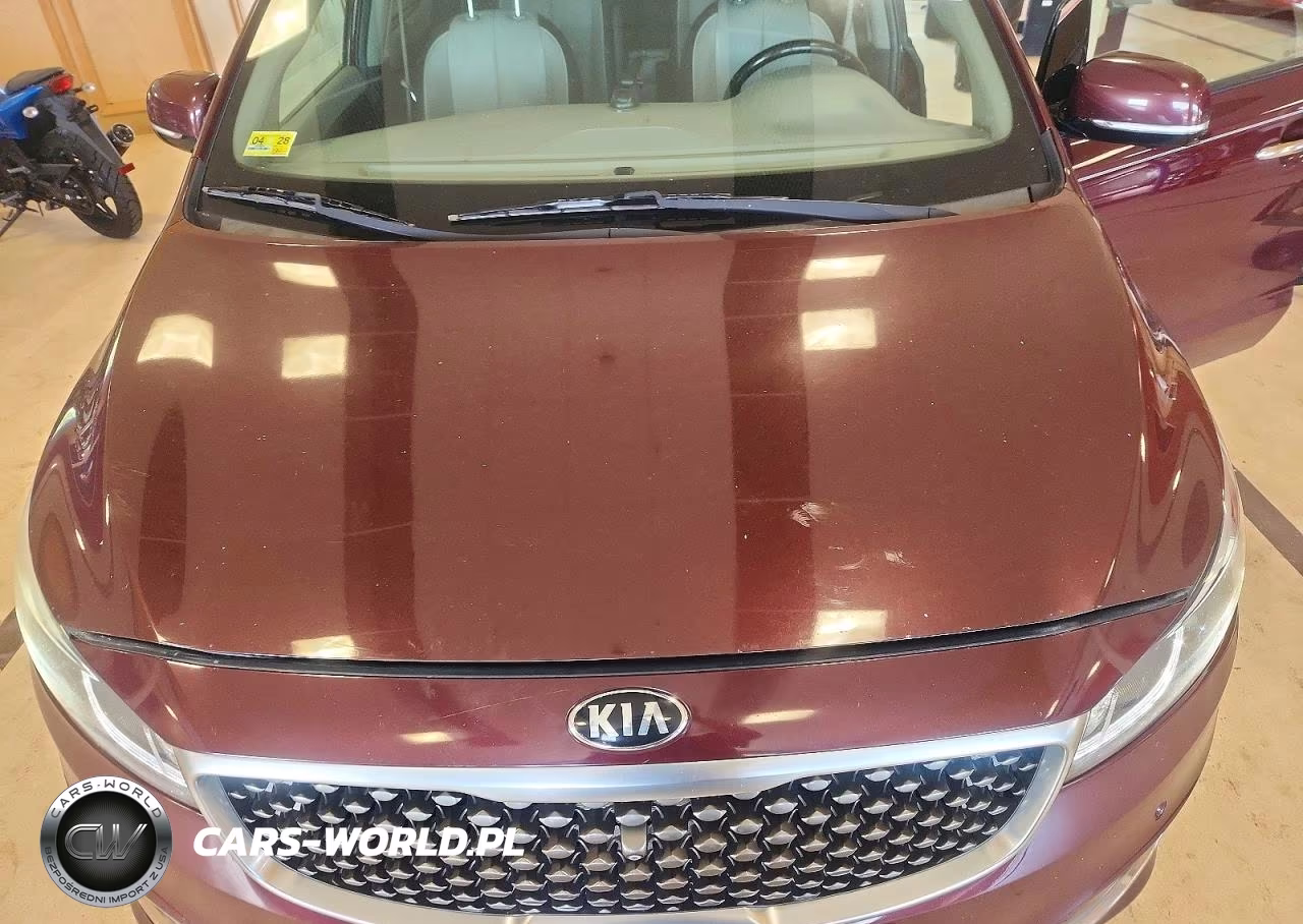 2015 Kia Sedona Sxl VIN:KNDME5C13F6026666 - 12