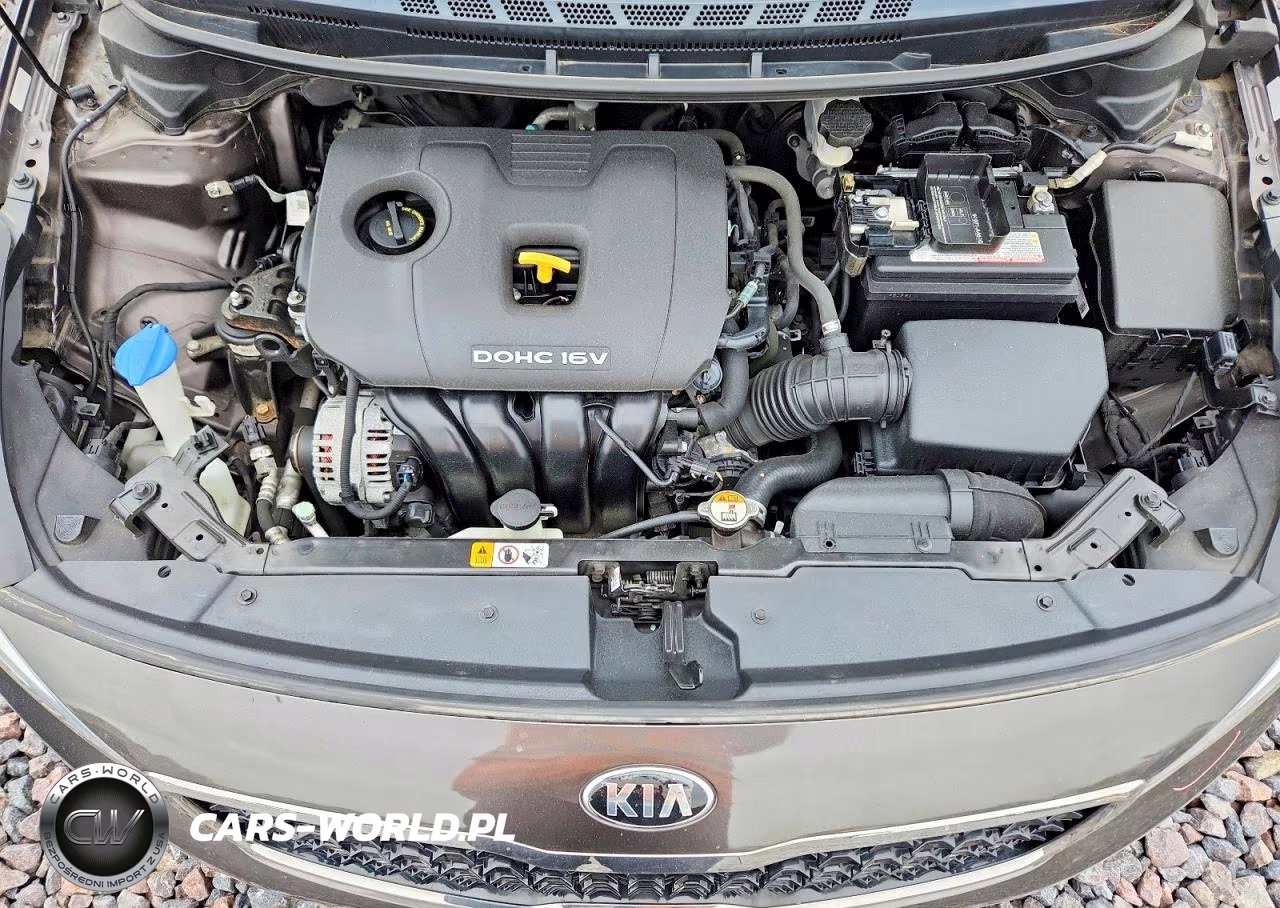 2017 Kia Forte Lx VIN:3KPFK4A72HE127679 - 11