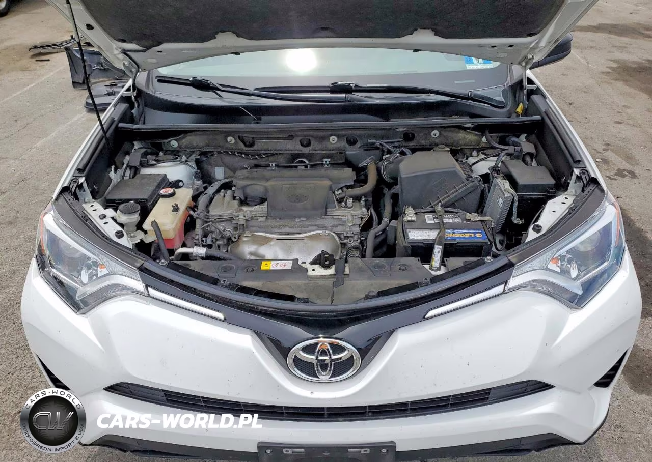 2016 Toyota Rav4 Le VIN:JTMBFREVXGD196886 - 11