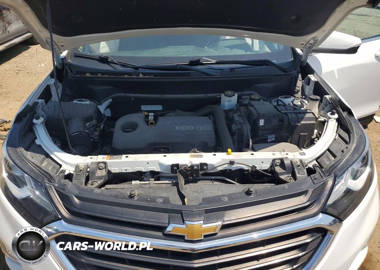 2019 Chevrolet Equinox Lt VIN:3GNAXJEV8KS637148 - 12