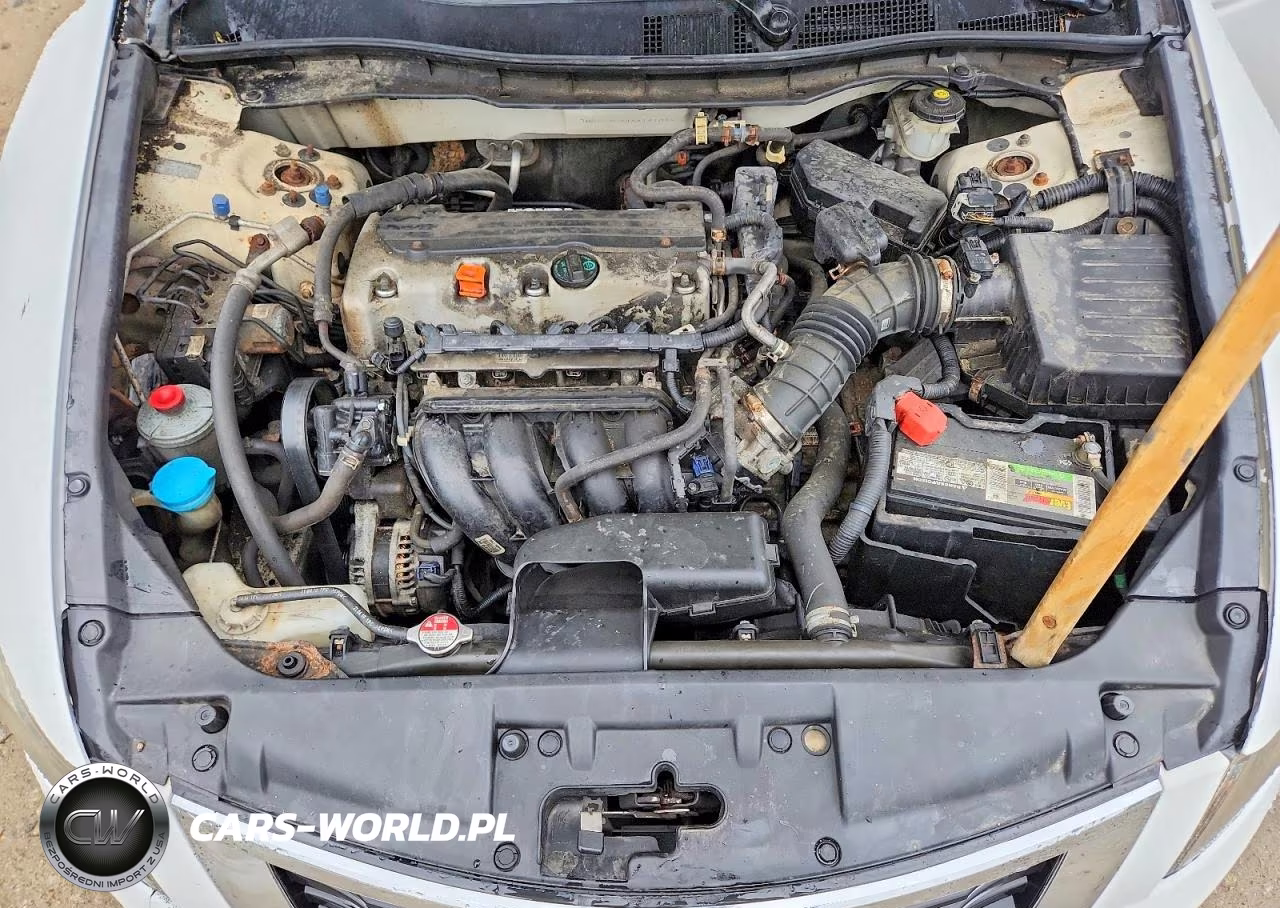 2010 Honda Accord Lxp VIN:1HGCP2F44AA191045 - 11