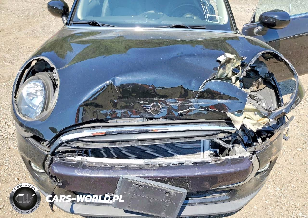 2020 Mini Cooper VIN:WMWXR3C03L2L44123 - 12