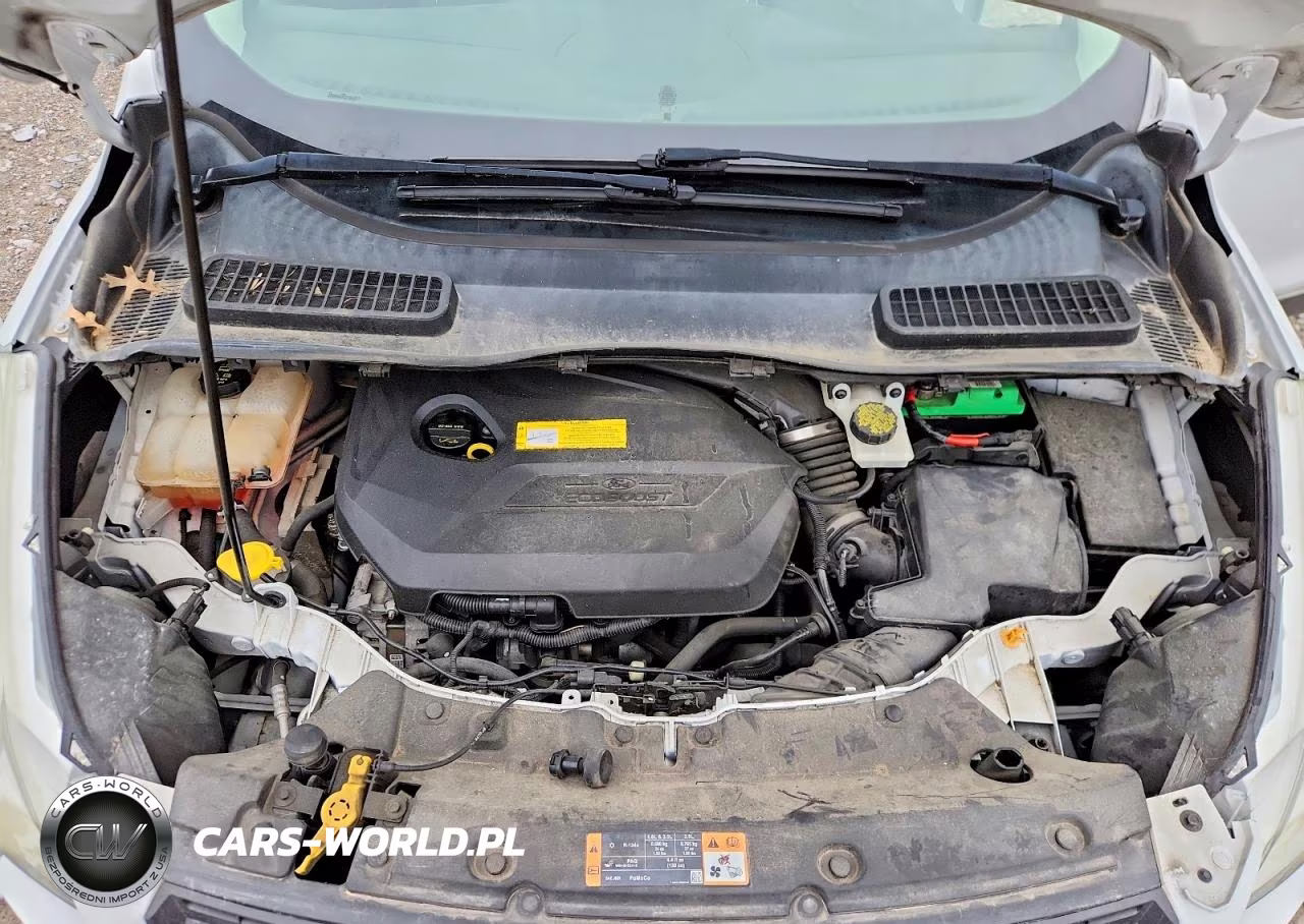 2015 Ford Escape Se VIN:1FMCU0GX0FUB06059 - 12