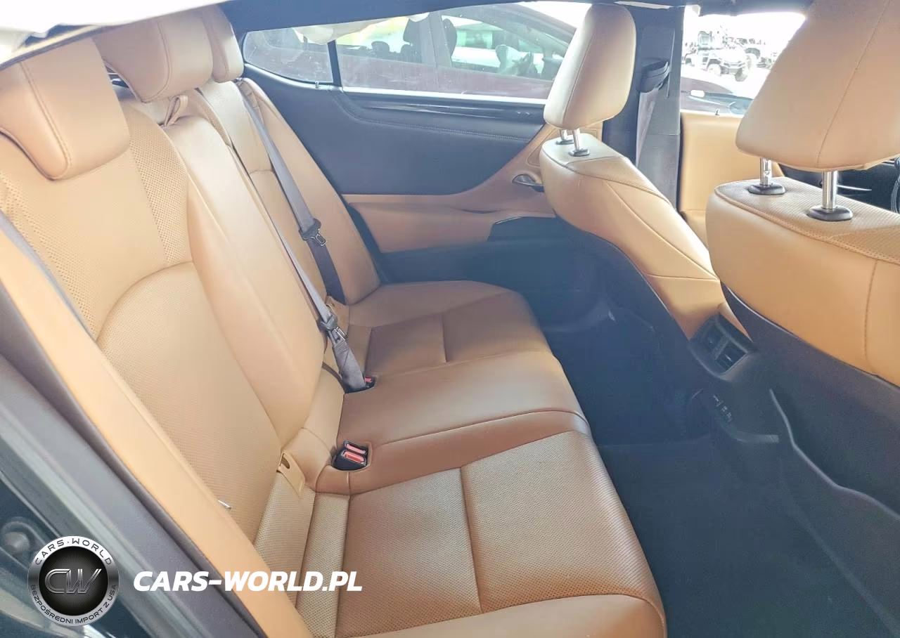 2020 Lexus Es 350 VIN:58ADZ1B12LU067753 - 10