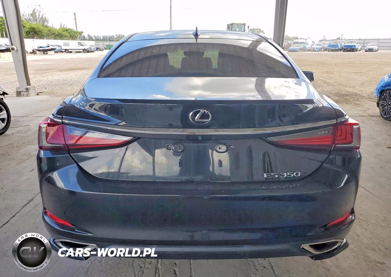 2020 Lexus Es 350 VIN:58ADZ1B12LU067753 - 6