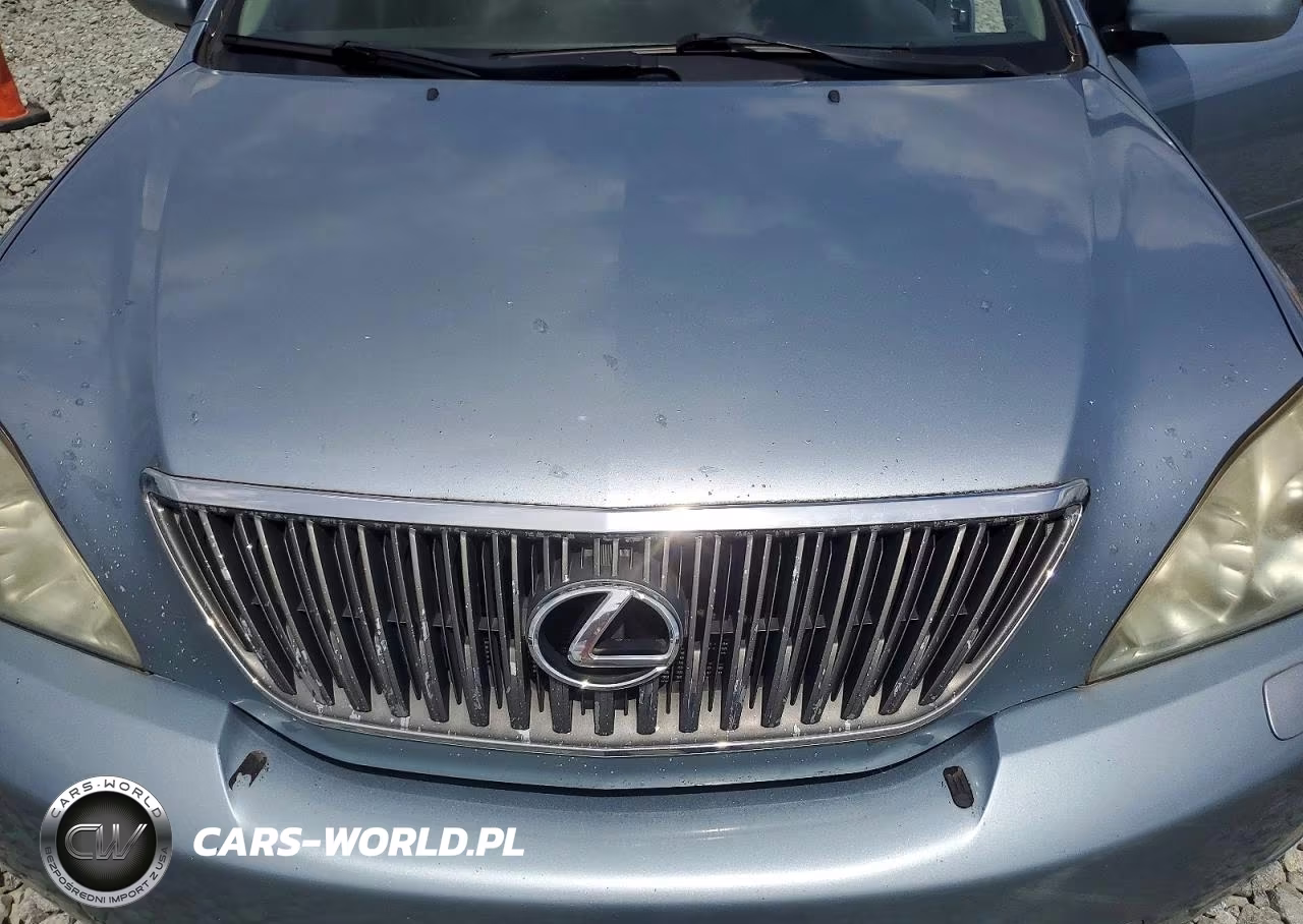 2007 Lexus Rx 350 VIN:JTJHK31U172024903 - 12