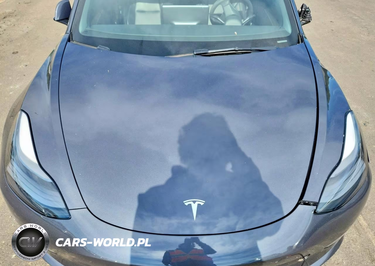 2023 Tesla Model 3 VIN:5YJ3E1EC5PF395473 - 11