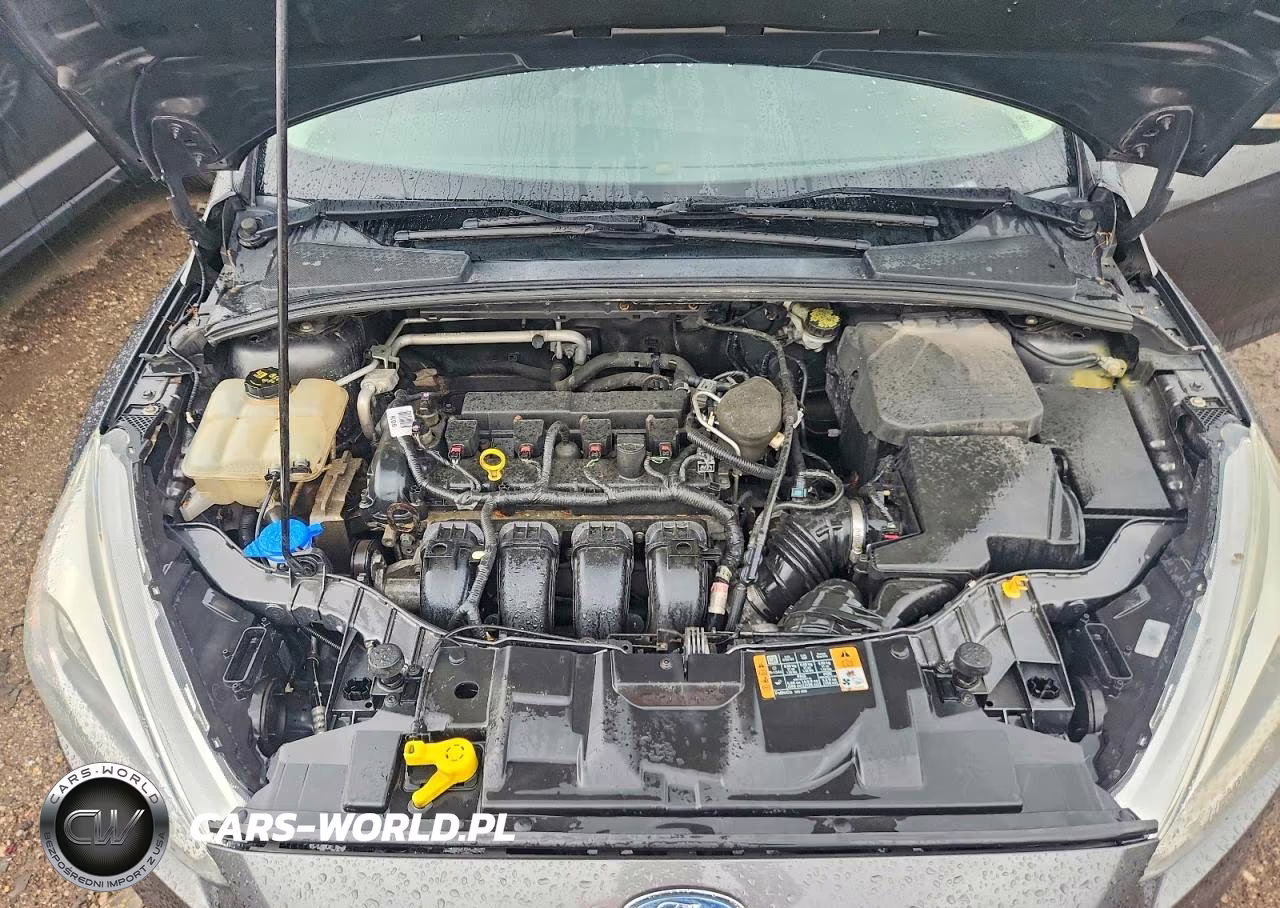 2015 Ford Focus Se VIN:1FADP3F22FL216663 - 11