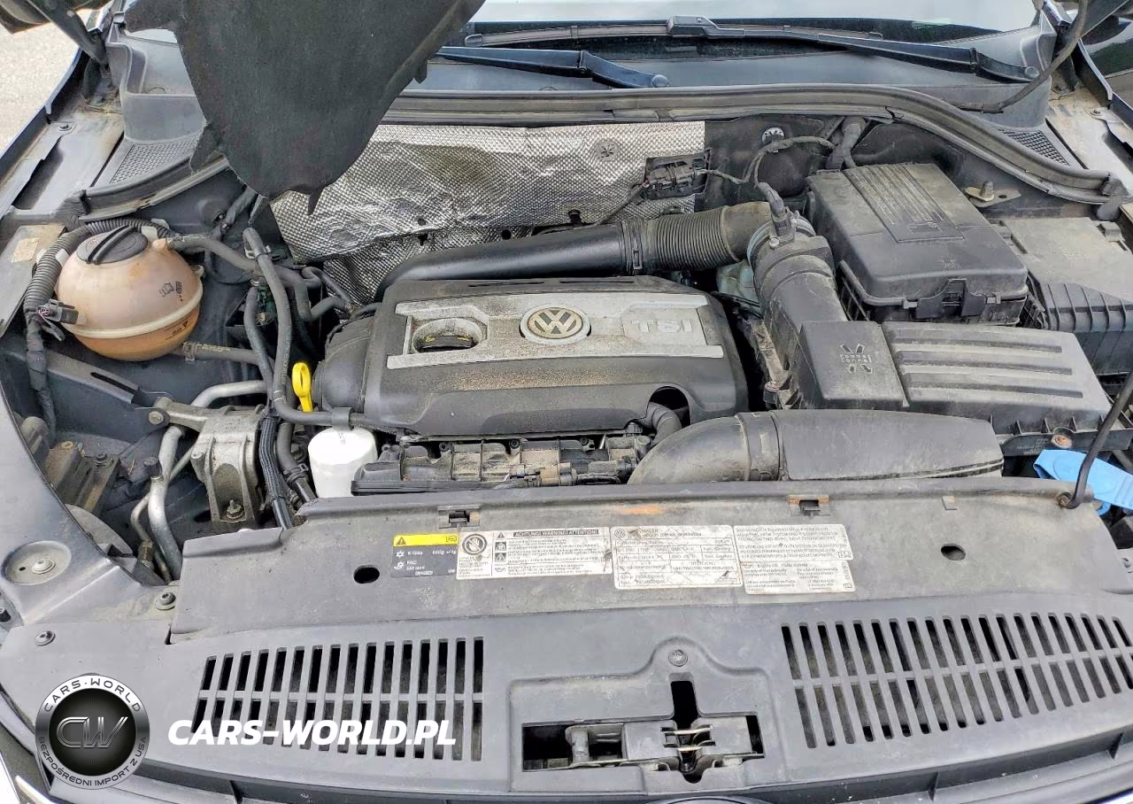 2015 Volkswagen Tiguan S VIN:WVGBV7AX0FW505505 - 12