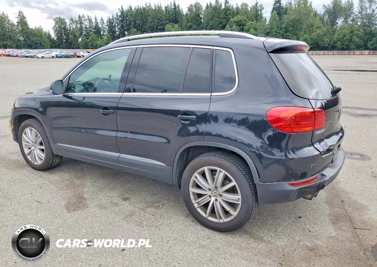 2015 Volkswagen Tiguan S VIN:WVGBV7AX0FW505505 - 2
