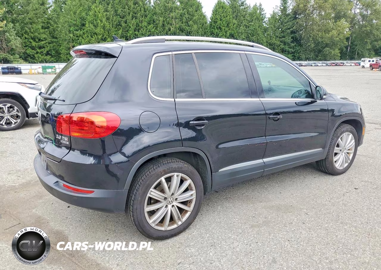 2015 Volkswagen Tiguan S VIN:WVGBV7AX0FW505505 - 3