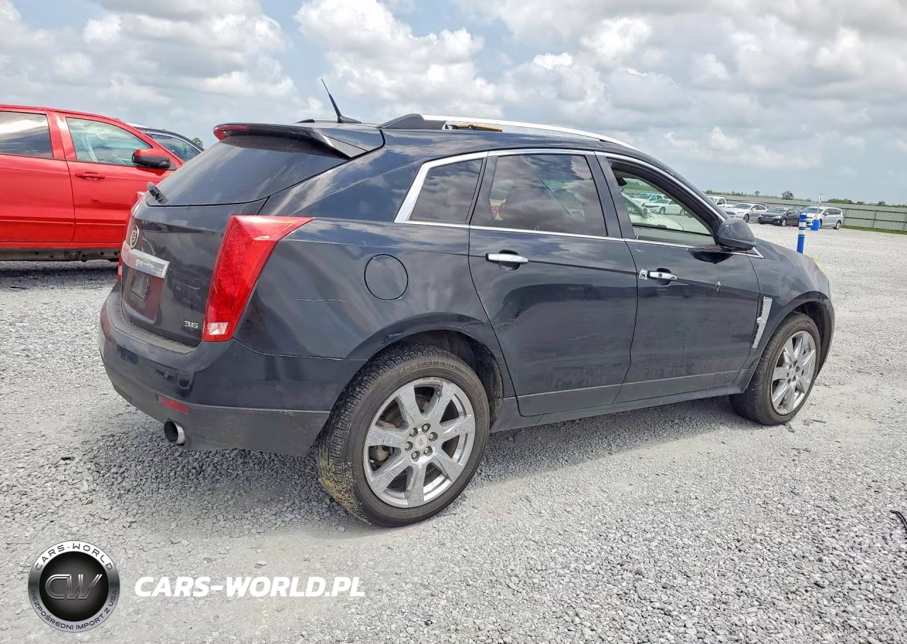 2012 Cadillac Srx Premium VIN:3GYFNCE37CS653822 - 3