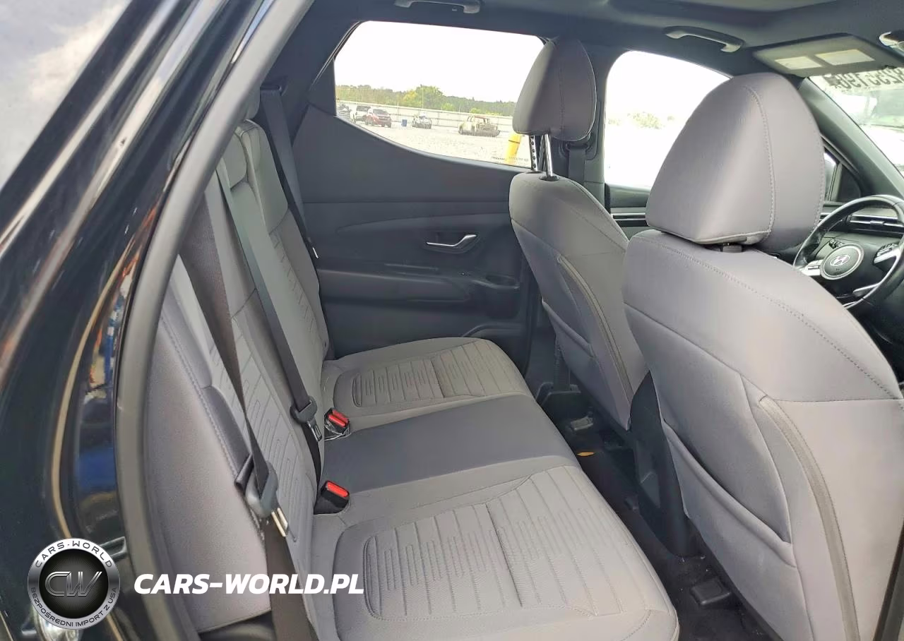 2022 Hyundai Santa Cruz Sel Premium VIN:5NTJDDAF6NH017206 - 10