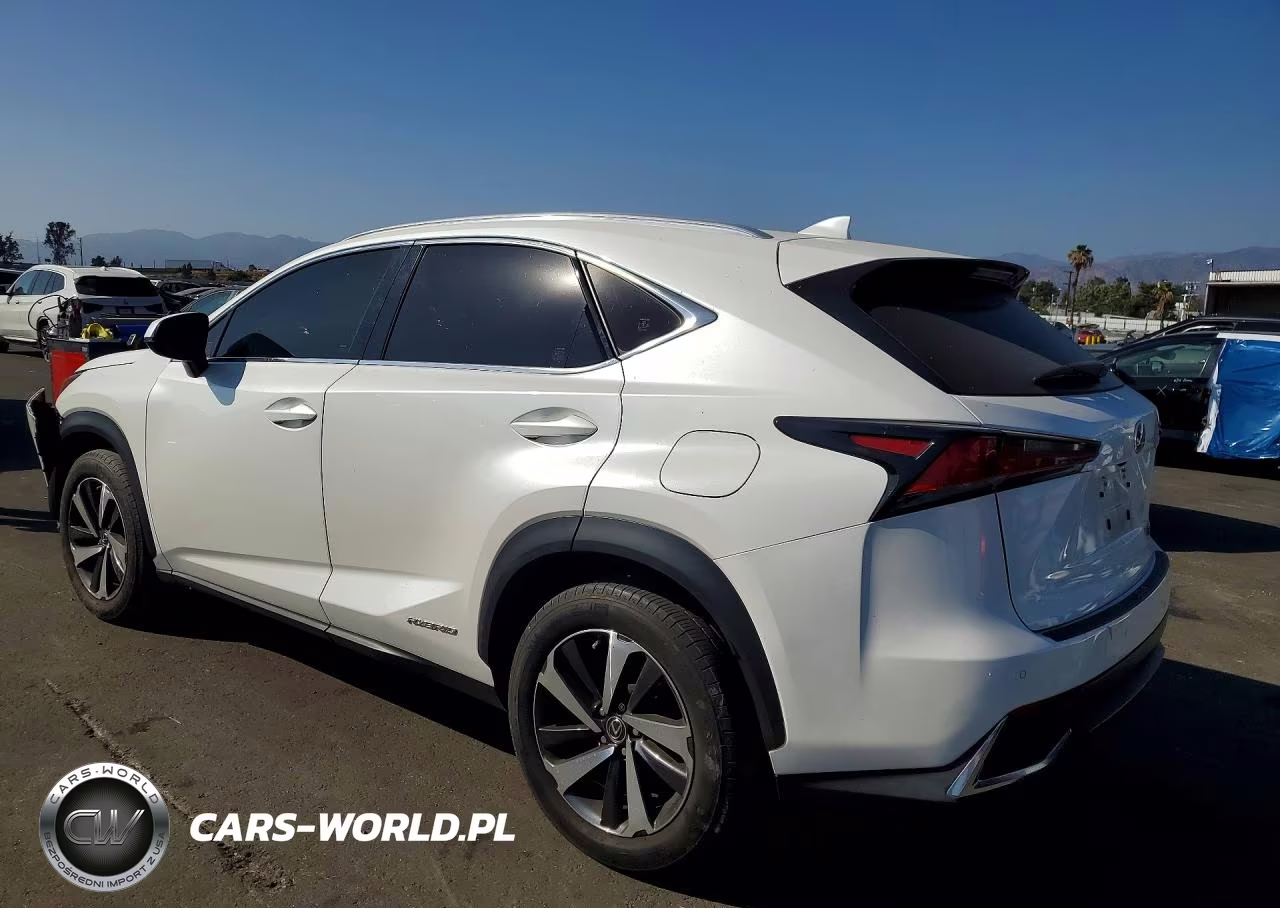 2021 Lexus Nx 300H Base VIN:JTJGJRDZ6M5015696 - 2