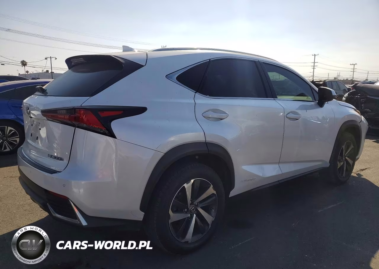 2021 Lexus Nx 300H Base VIN:JTJGJRDZ6M5015696 - 3