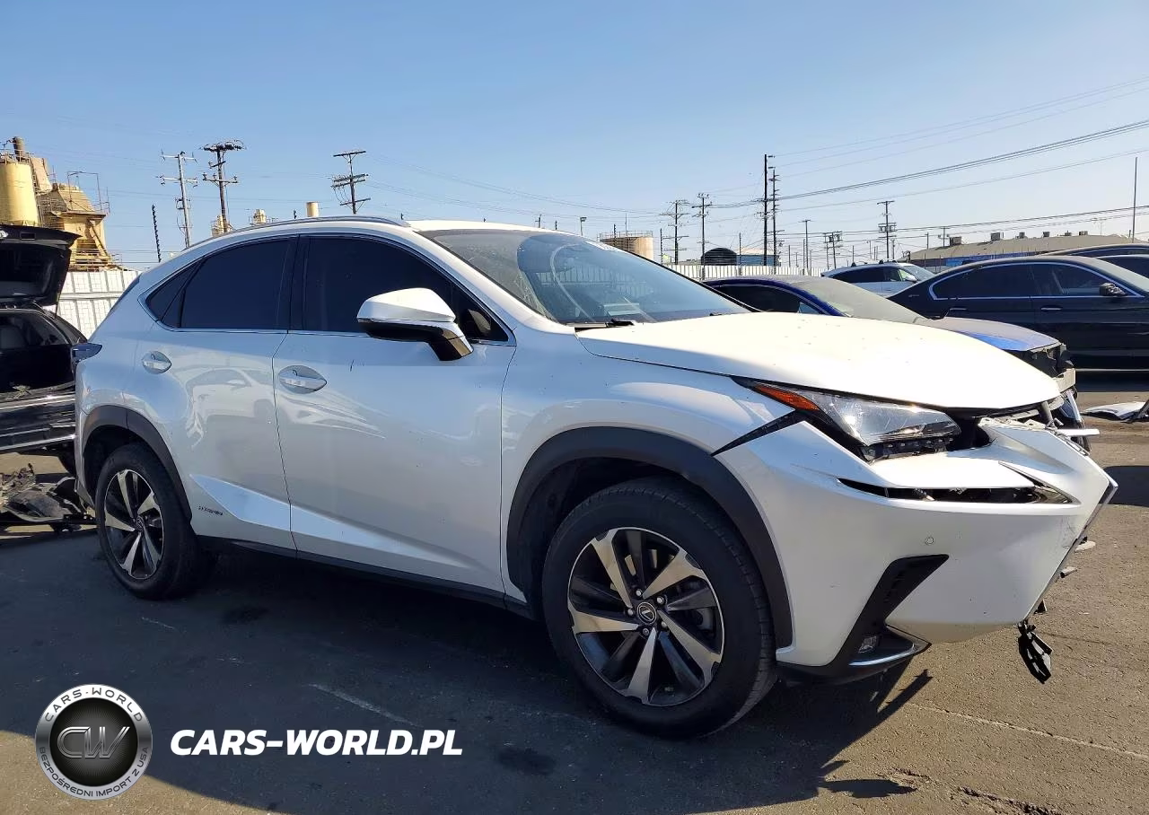 2021 Lexus Nx 300H Base VIN:JTJGJRDZ6M5015696 - 4