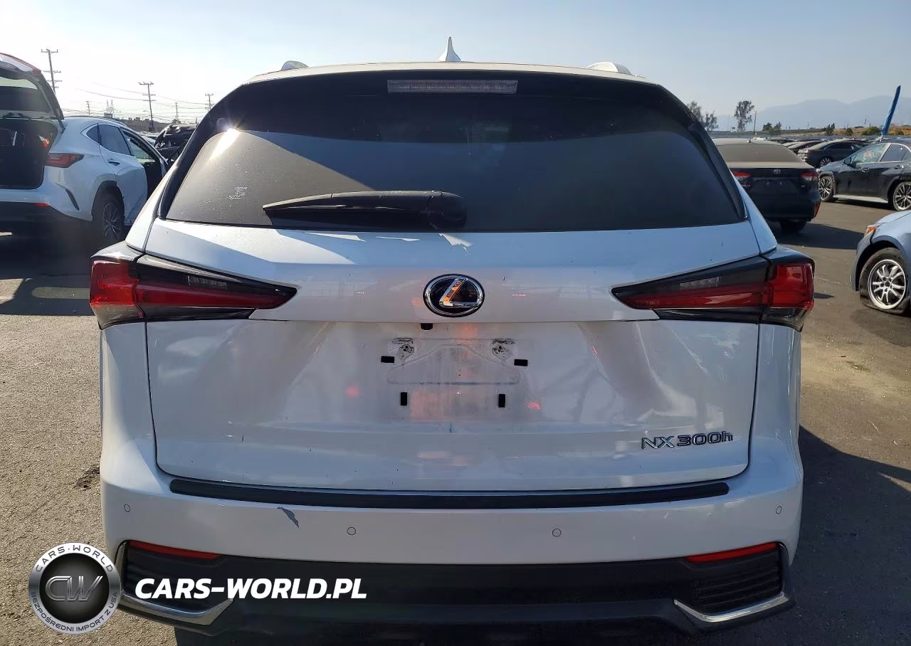 2021 Lexus Nx 300H Base VIN:JTJGJRDZ6M5015696 - 6