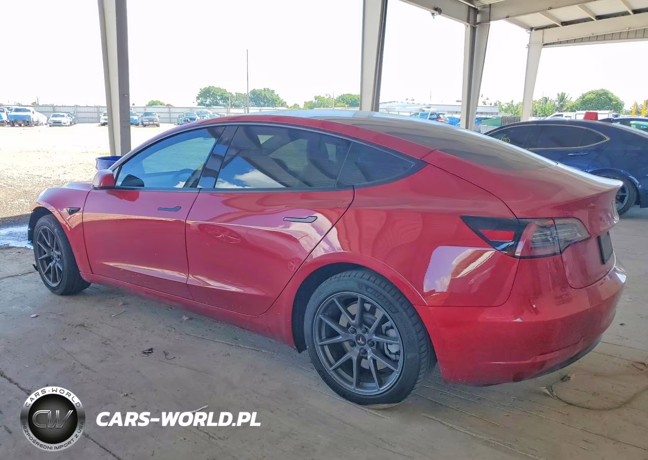 2021 Tesla Model 3 VIN:5YJ3E1EAXMF097060 - 2