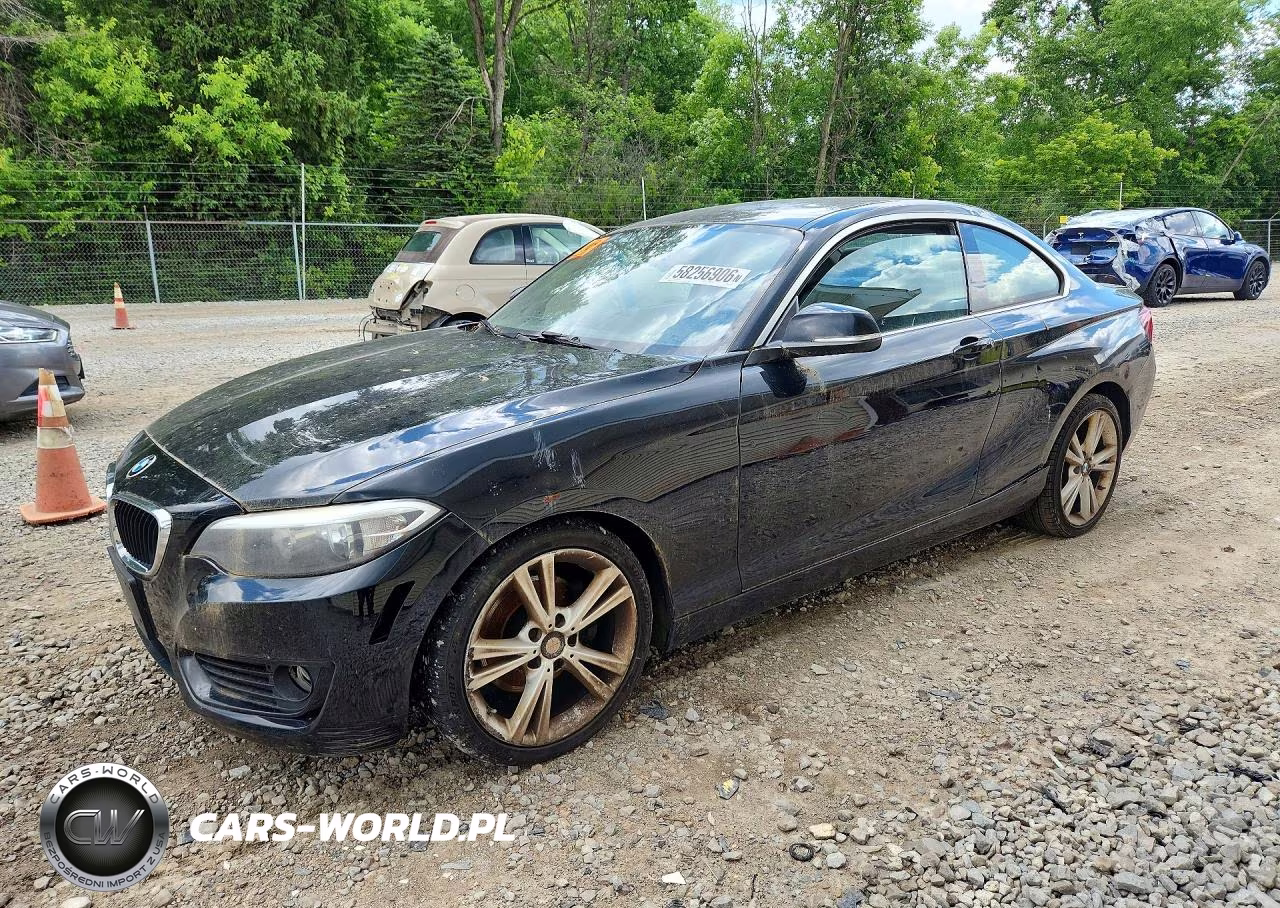 2015 BMW 228 Xi