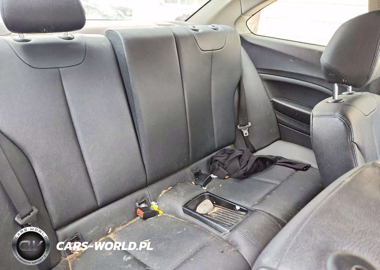 2015 BMW 228 Xi VIN:WBA1F7C53FVX96237 - 10