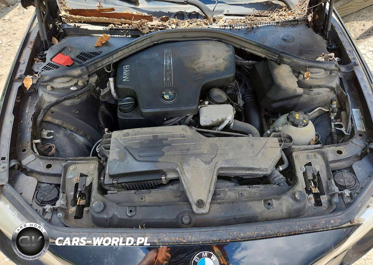 2015 BMW 228 Xi VIN:WBA1F7C53FVX96237 - 11