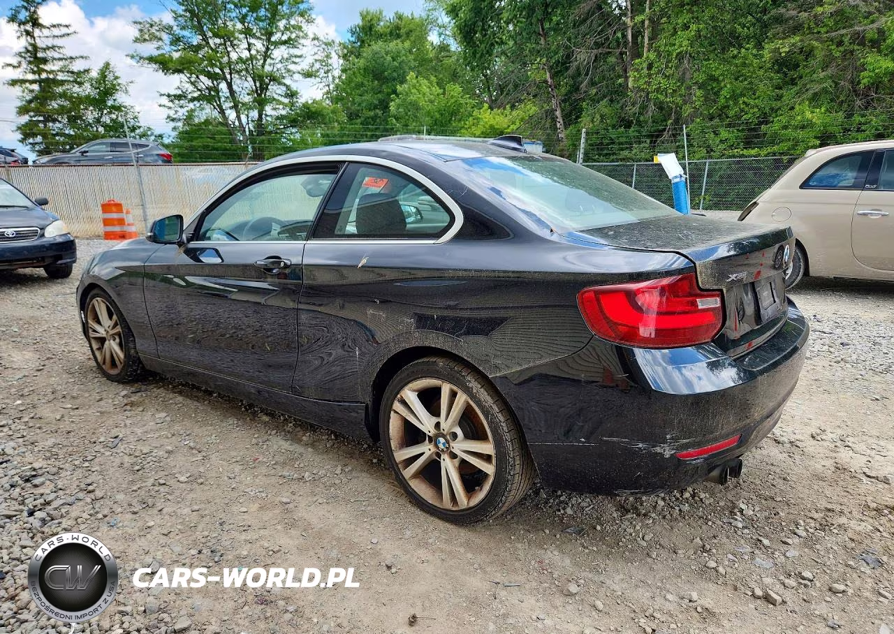 2015 BMW 228 Xi VIN:WBA1F7C53FVX96237 - 2
