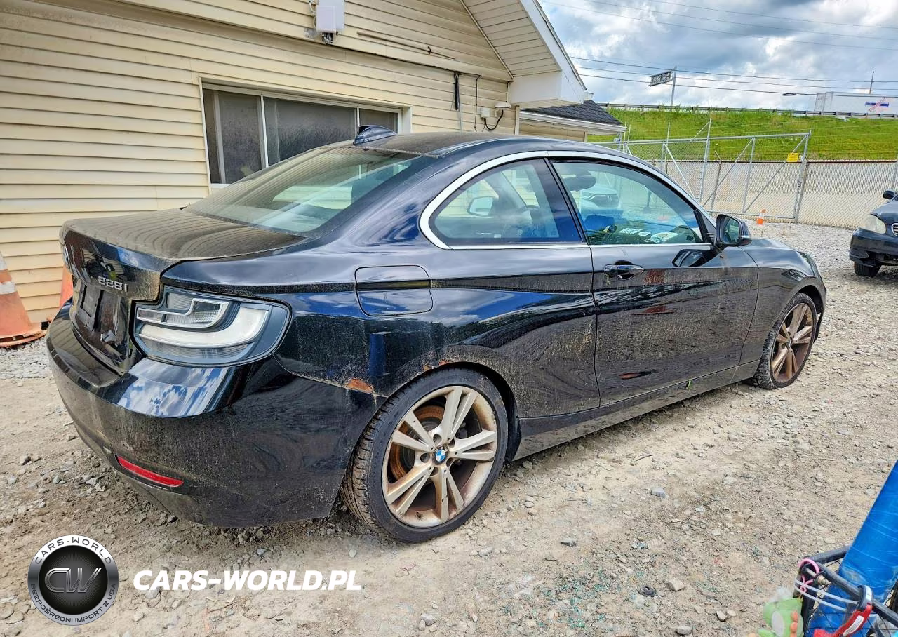 2015 BMW 228 Xi VIN:WBA1F7C53FVX96237 - 3
