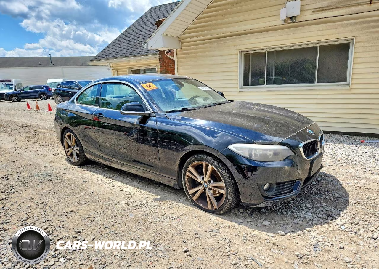 2015 BMW 228 Xi VIN:WBA1F7C53FVX96237 - 4