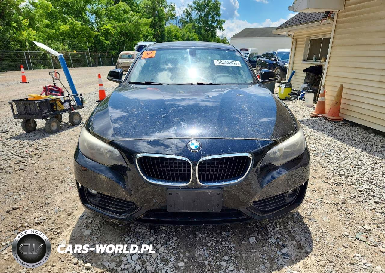 2015 BMW 228 Xi VIN:WBA1F7C53FVX96237 - 5
