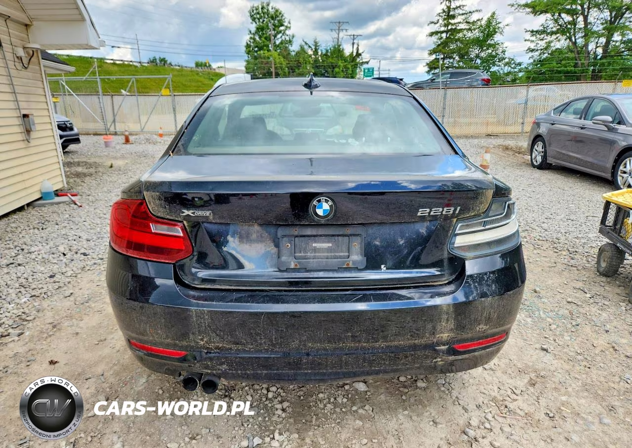 2015 BMW 228 Xi VIN:WBA1F7C53FVX96237 - 6