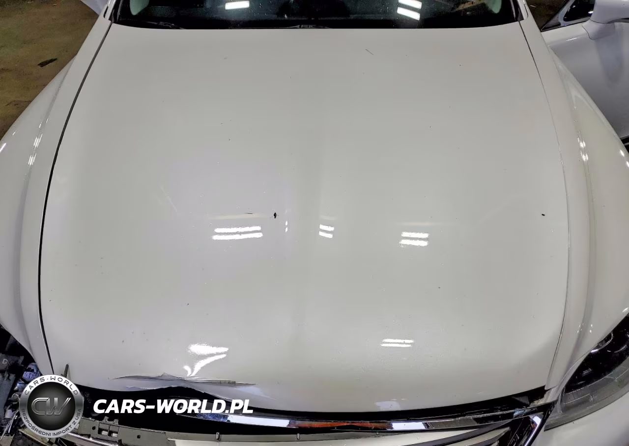 2014 Lexus Ls 460 VIN:JTHCL5EF4E5021554 - 11