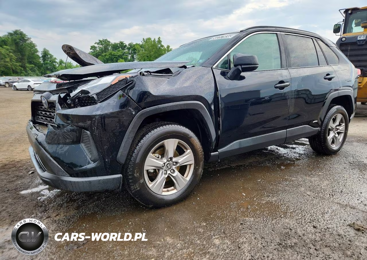 2023 Toyota Rav4 VIN:4T3LWRFV6PU091798 - 1