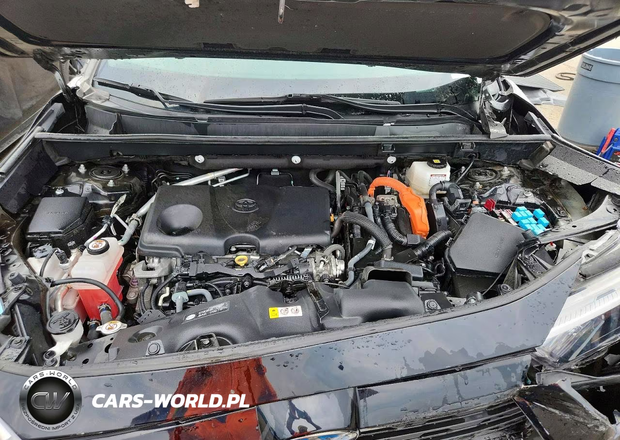 2023 Toyota Rav4 VIN:4T3LWRFV6PU091798 - 12