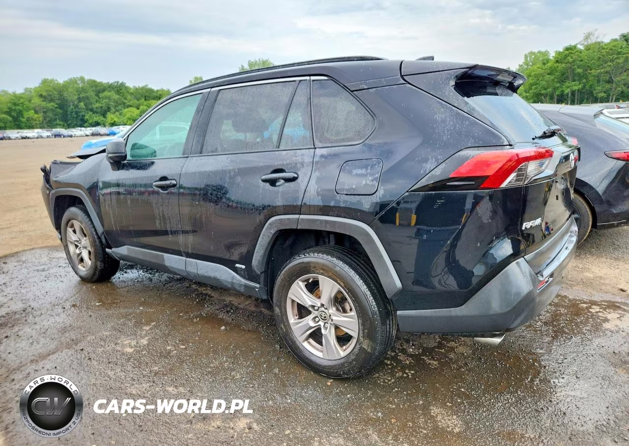 2023 Toyota Rav4 VIN:4T3LWRFV6PU091798 - 2