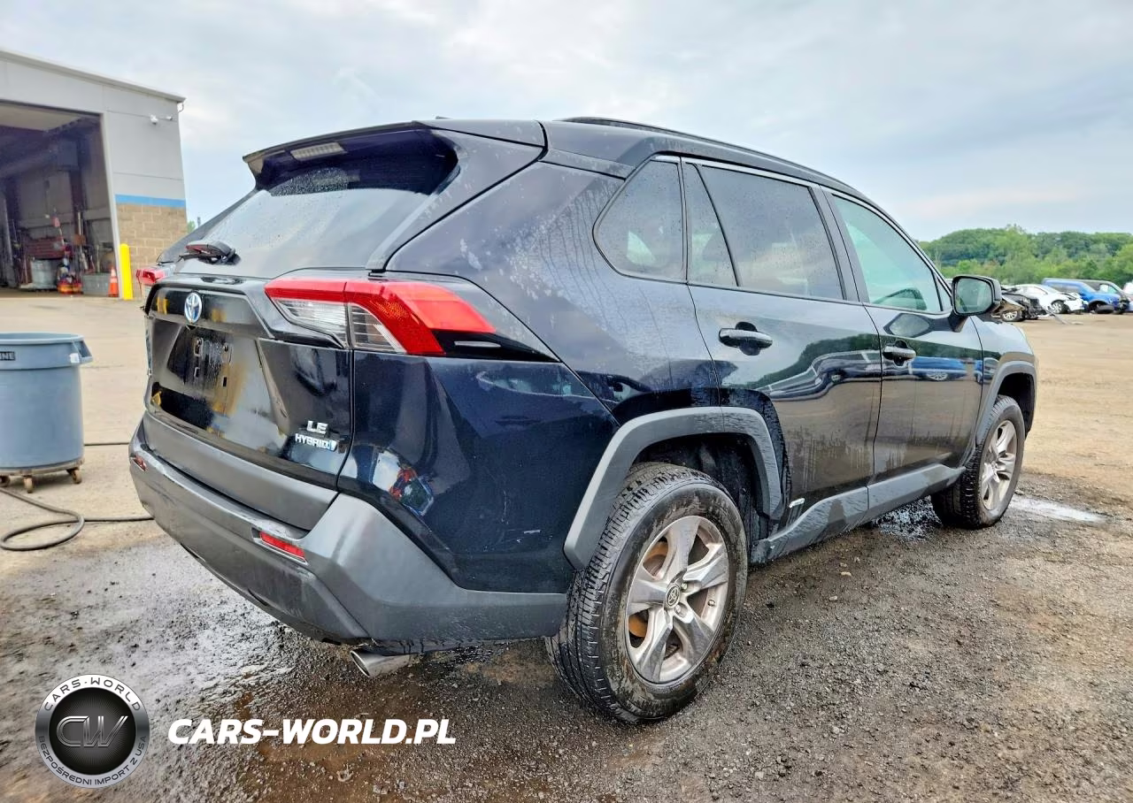 2023 Toyota Rav4 VIN:4T3LWRFV6PU091798 - 3