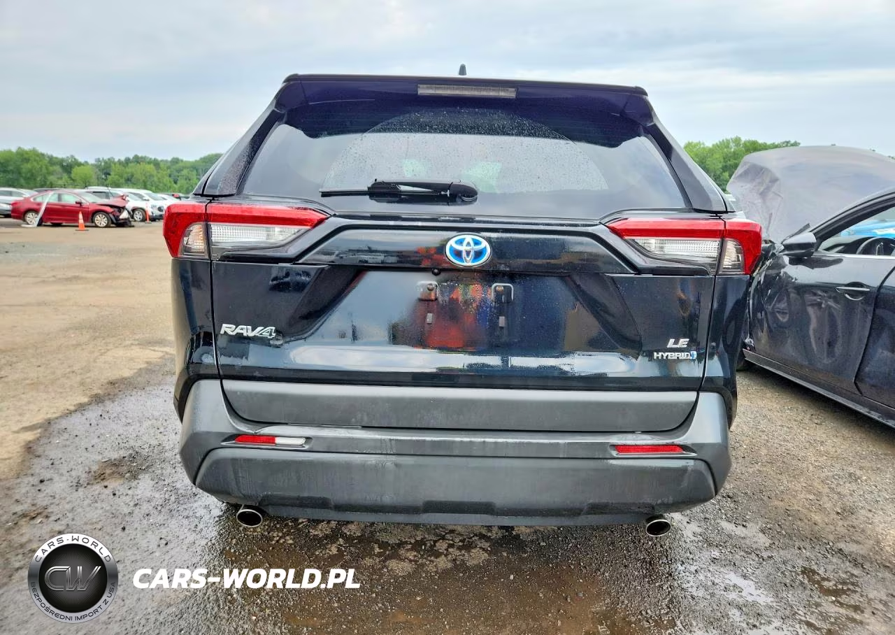 2023 Toyota Rav4 VIN:4T3LWRFV6PU091798 - 6