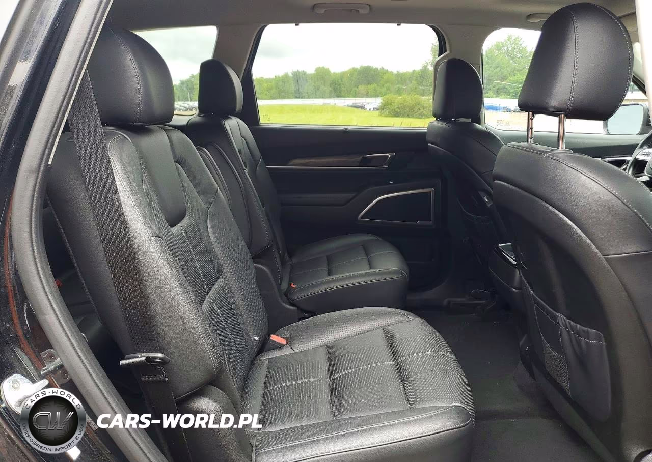 2020 Kia Telluride Ex VIN:5XYP3DHC5LG058597 - 11