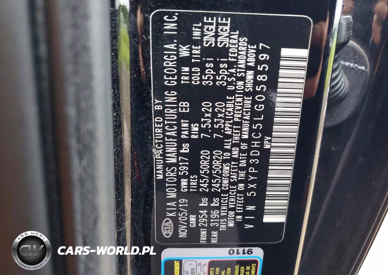2020 Kia Telluride Ex VIN:5XYP3DHC5LG058597 - 13