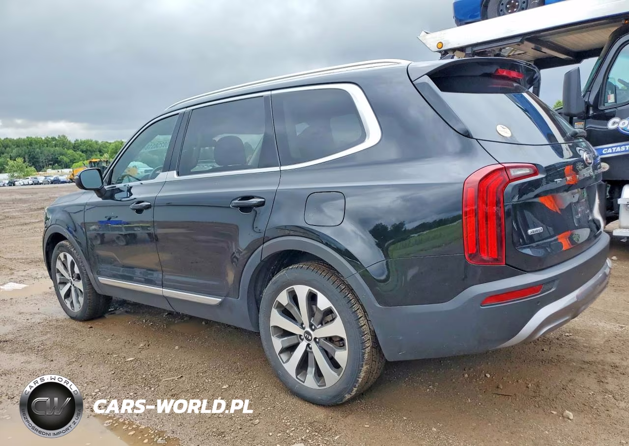 2020 Kia Telluride Ex VIN:5XYP3DHC5LG058597 - 2